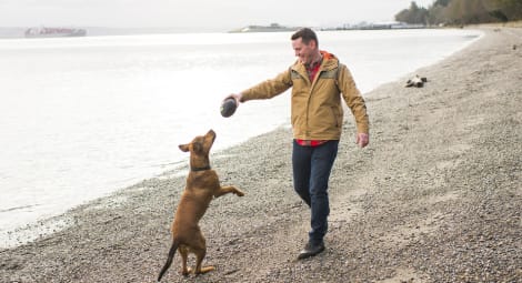 Man and dog playing on a beach