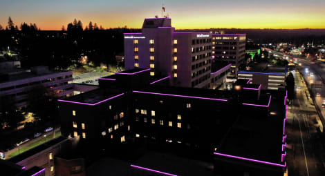 Hospital light up in purple lights to celebrate Domestic Violence month.