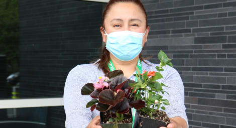 Volunteer holding small potted plants