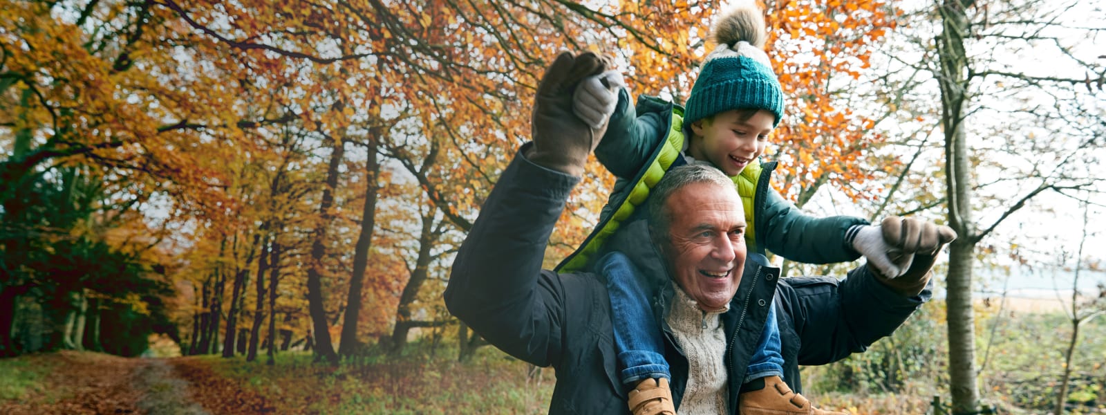 Grandfather Giving Grandson Ride On Shoulders As They Walk Along Autumn Woodland Path