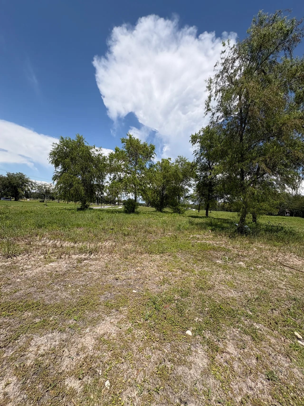 Terreno La Arbolada 1200m² - Foto 4