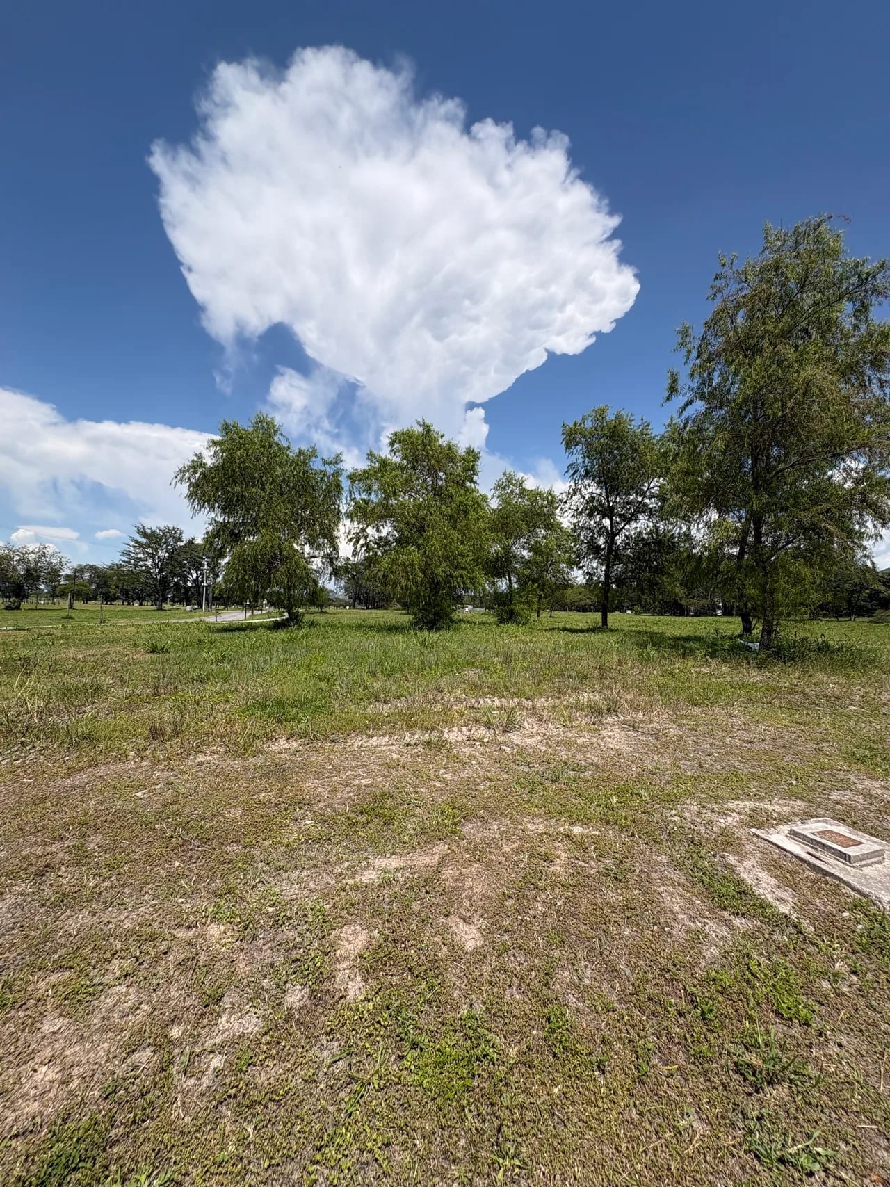 Terreno La Arbolada 1200m²