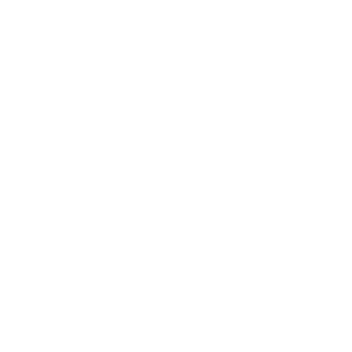 THE BRAND NATION