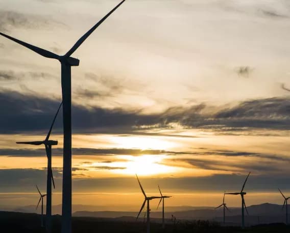 Portada de la noticia: El Grupo Pérez Moreno alcanza récord de 6,92 GWh de energía renovable en agosto
