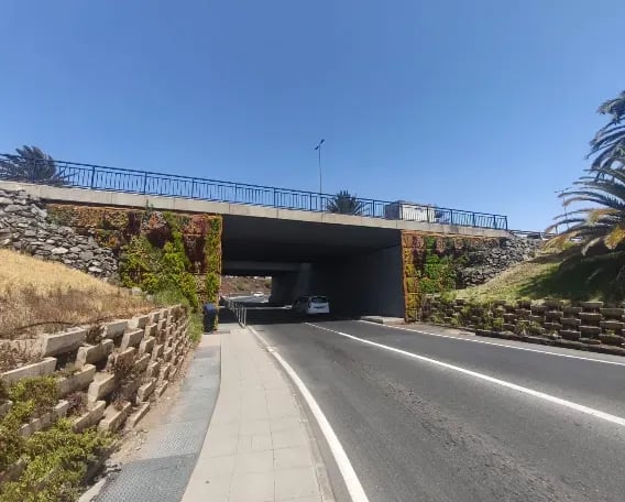 Portada de la noticia: Ayagaures Medioambiente transforma la GC-1 con un innovador jardín vertical