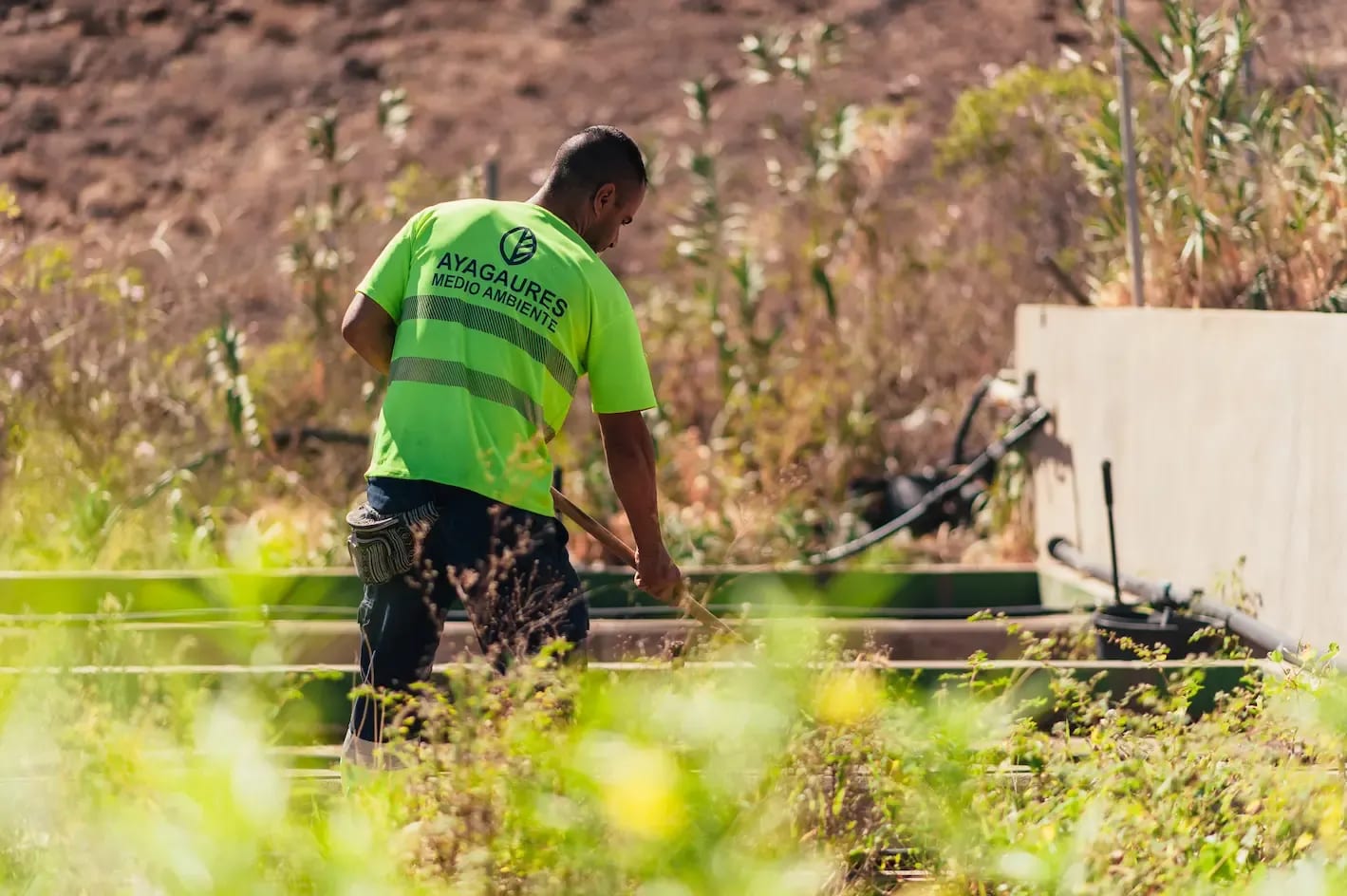 Portada de la noticia: Ayagaures Medioambiente pone en marcha la campaña “Protégete del Sol en Gran Canaria”