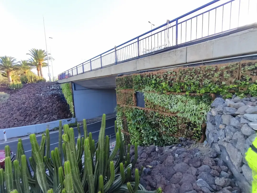 Portada de la noticia: Ayagaures Medioambiente finaliza el proyecto de jardines verticales en la GC1