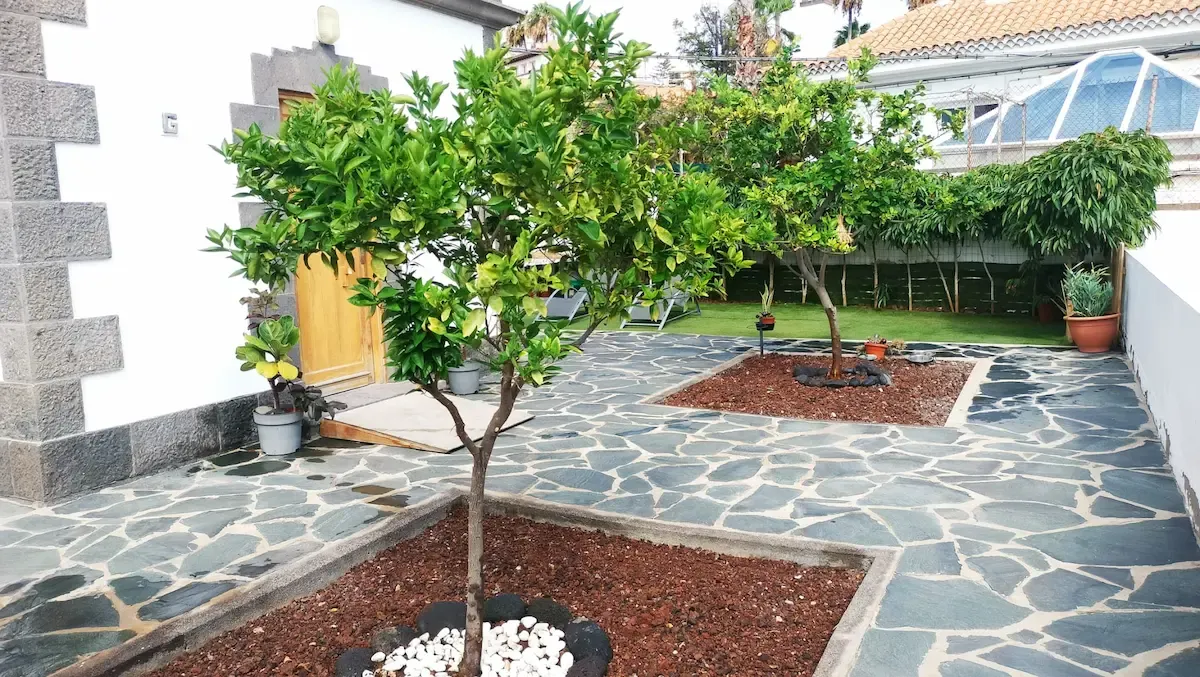Portada de la noticia: Ayagaures Medioambiente renueva el servicio de conservación de las zonas verdes del Cuartel General del Mando Aéreo de Canarias