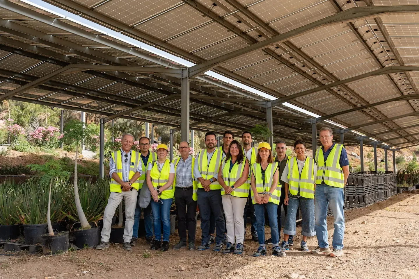 Portada de la noticia: Ayagaures Medioambiente muestra al Gobierno de Canarias su modelo pionero de agrovoltaica y economía circular
