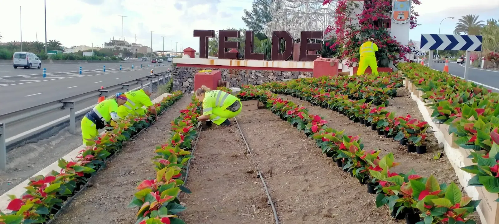 Portada de la noticia: Ayagaures Medioambiente pone en marcha el II Plan de Igualdad