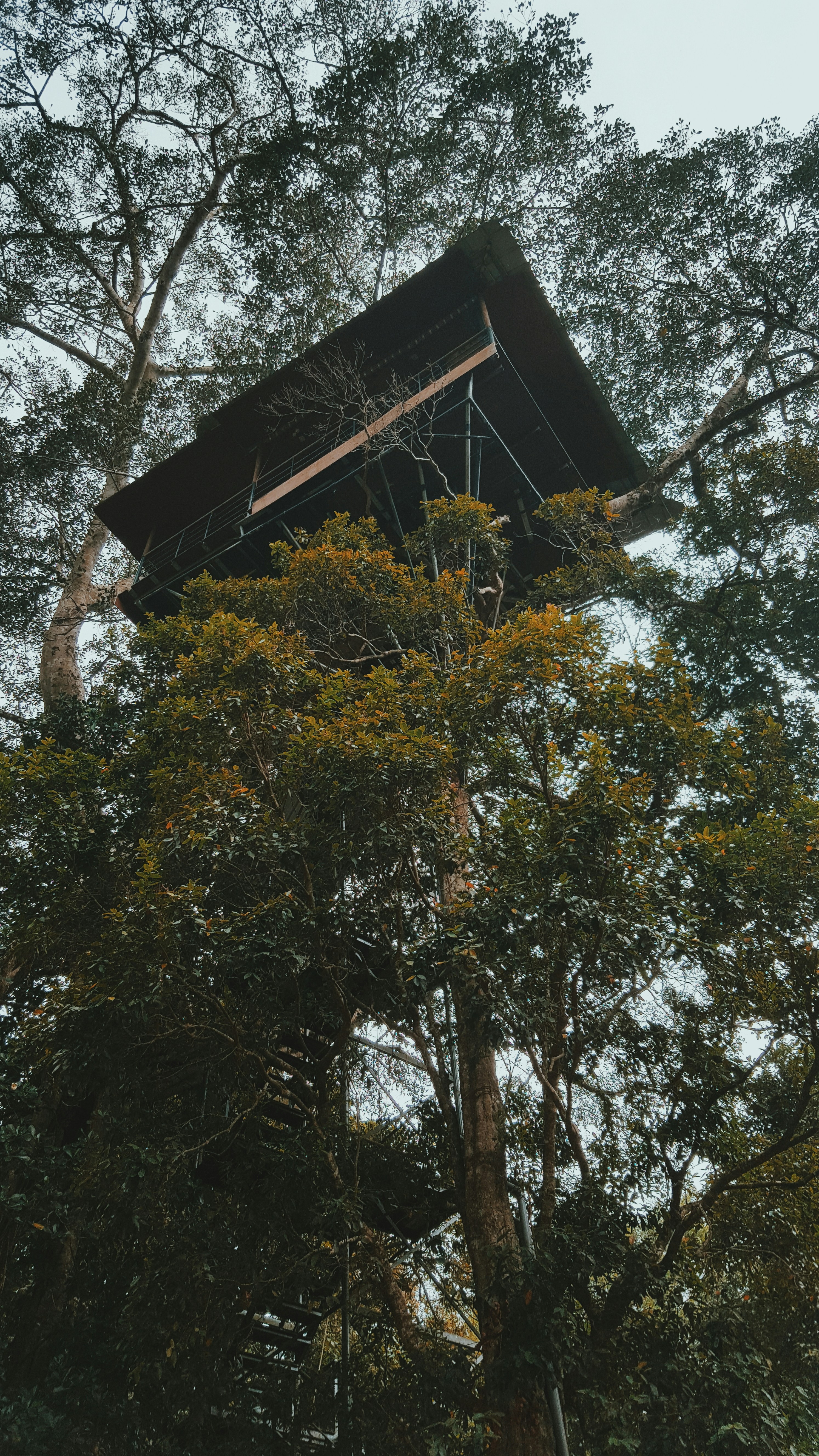 listing_image_0