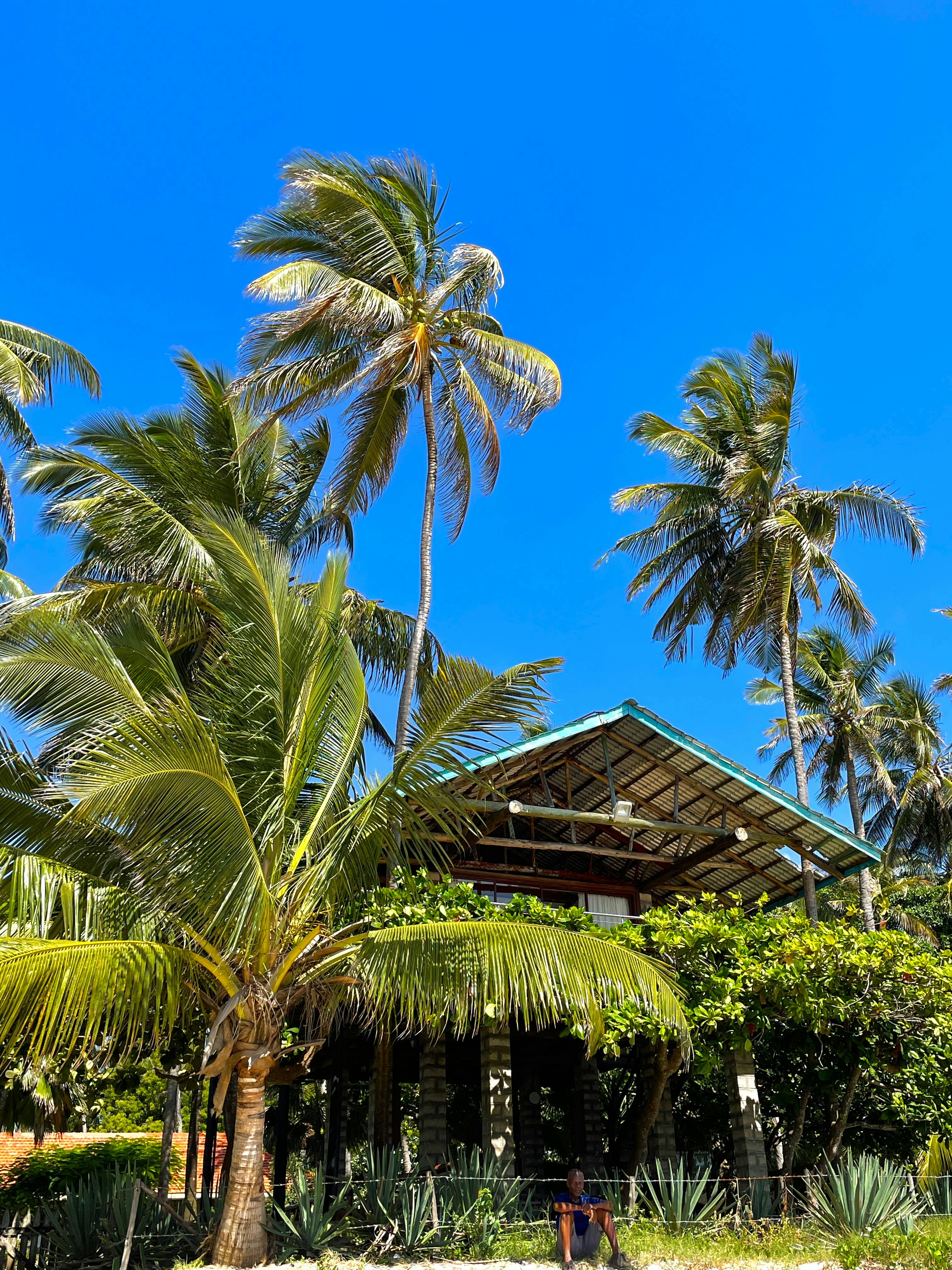 listing_image_0