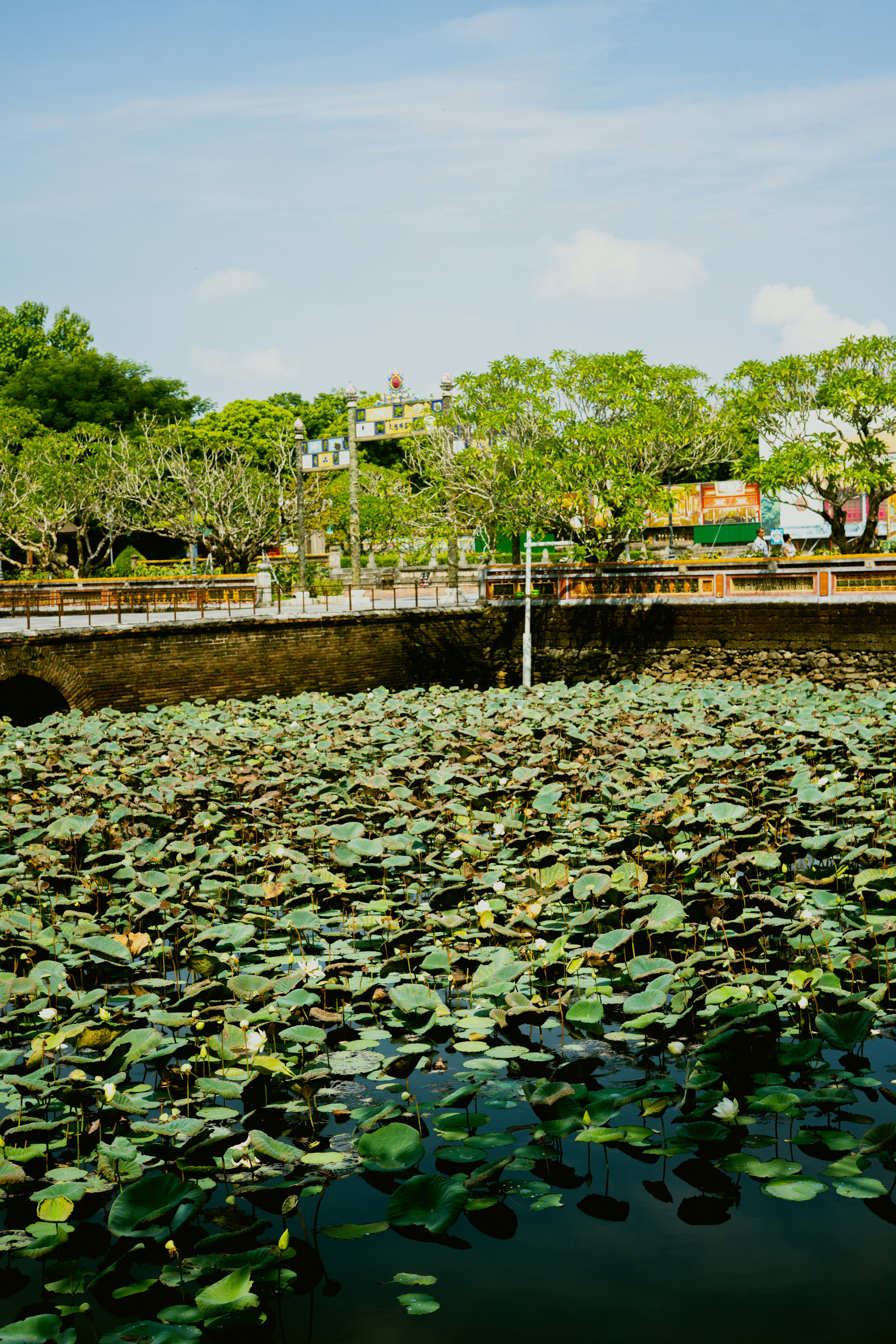 listing_image_0