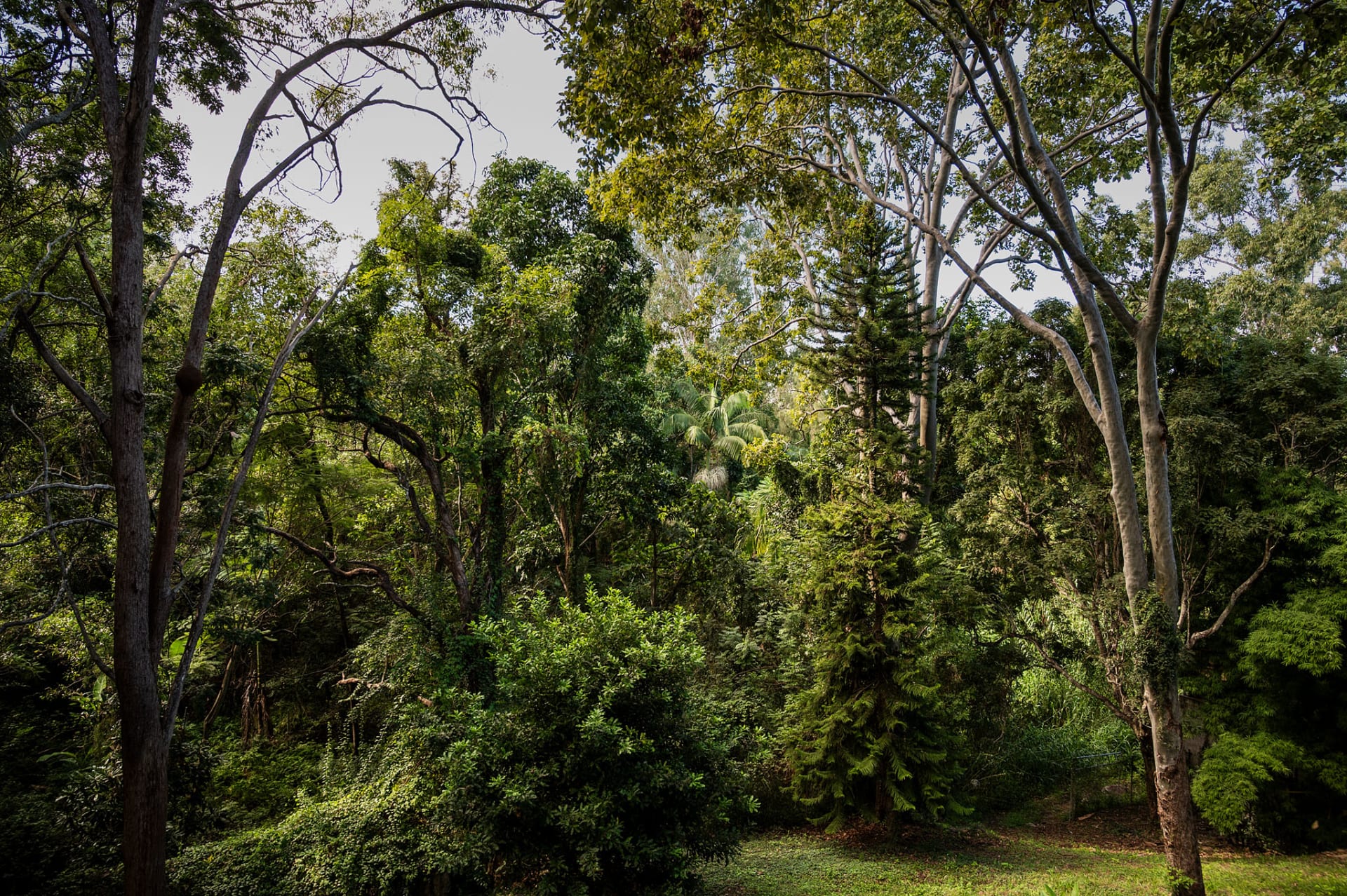 Intimate day spa with rainforest views