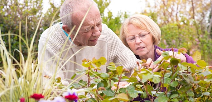 Gardening