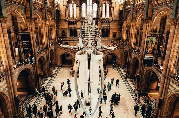 eCommerce opportunities for cultural organisations and visitor attractions