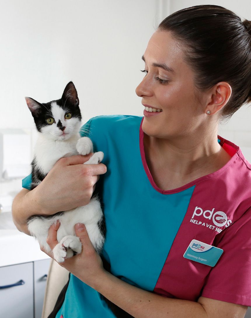 The Payroll Giving Team charity image PDSA