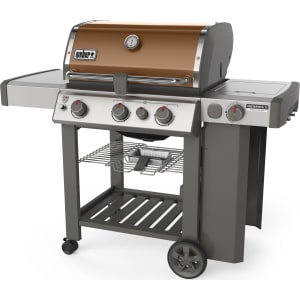 The 12 Best Weber Grills of 2023, Tested & Reviewed