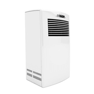For people with allergies, a top-of-the-line dehumidifier can mean instant relief