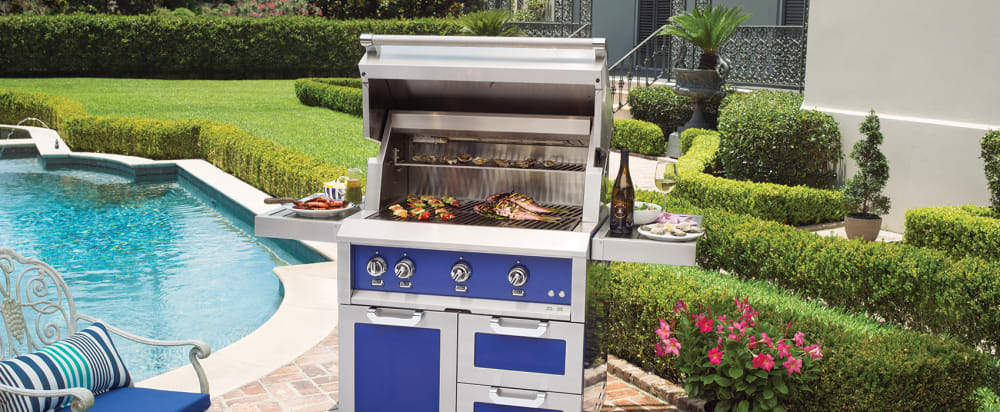 Hestan Grill Review: Everything You Need to Know