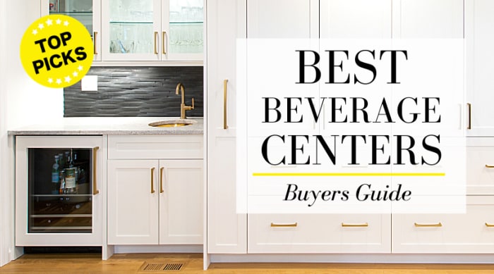 7 Best Beverage Coolers of 2024