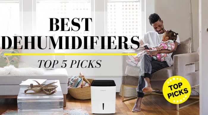 Best Dehumidifier: Make Basements Great Again