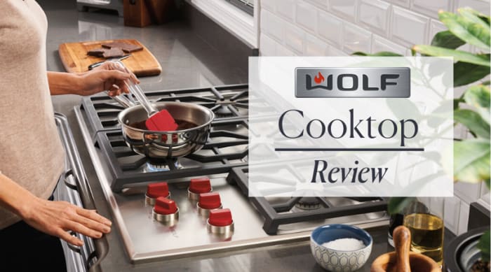 Wolf Cooktop Review (2024)