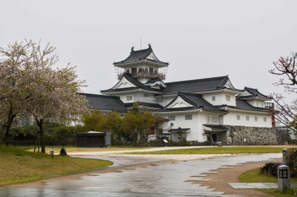 Toyama Castle rising above cherry blossoms under an overcast spring sky