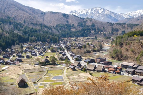 Aerial view of Shirakawa-go's gassho-zukuri farmhouses surrounded by terraced fields with snow-covered peaks rising behind