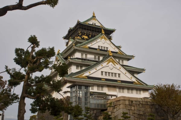 Osaka Castle's white and green tower with golden ornaments rising above pine trees against a grey sky
