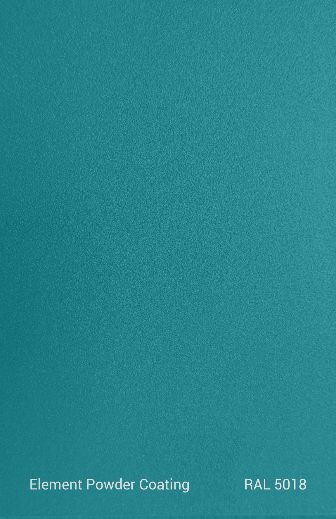 PE TGIC RAL 5018 TEXTURE