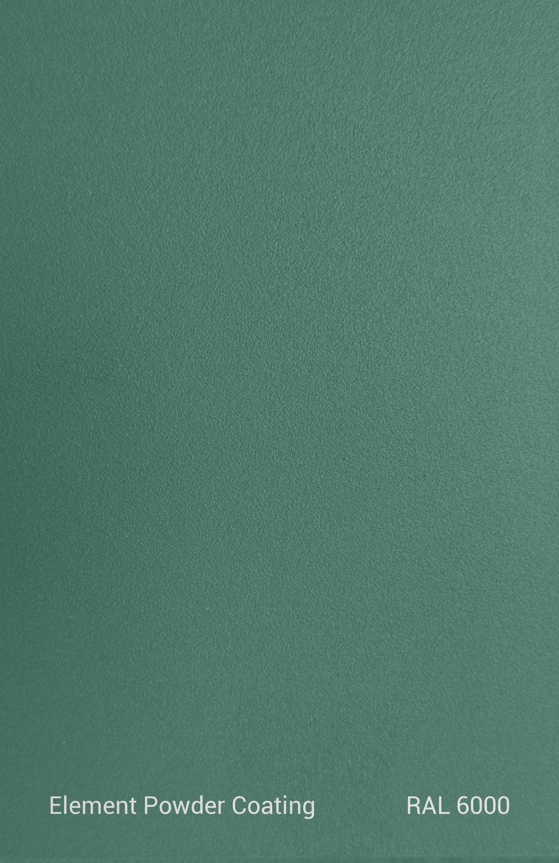 PE TGIC RAL 6000 TEXTURE