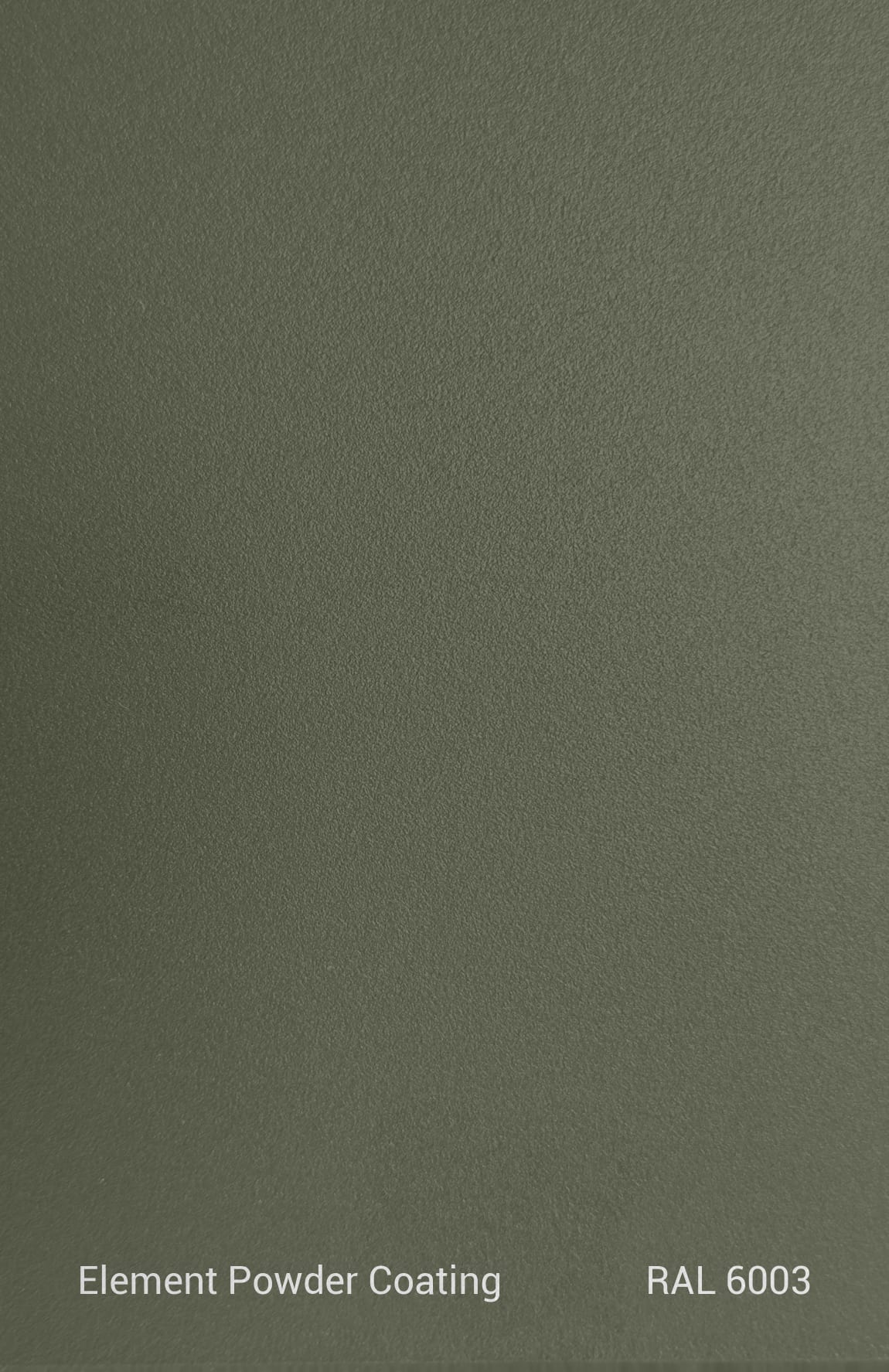 PE TGIC RAL 6003 TEXTURE