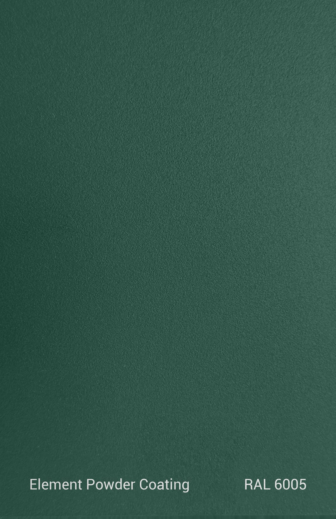 PE TGIC RAL 6005 TEXTURE