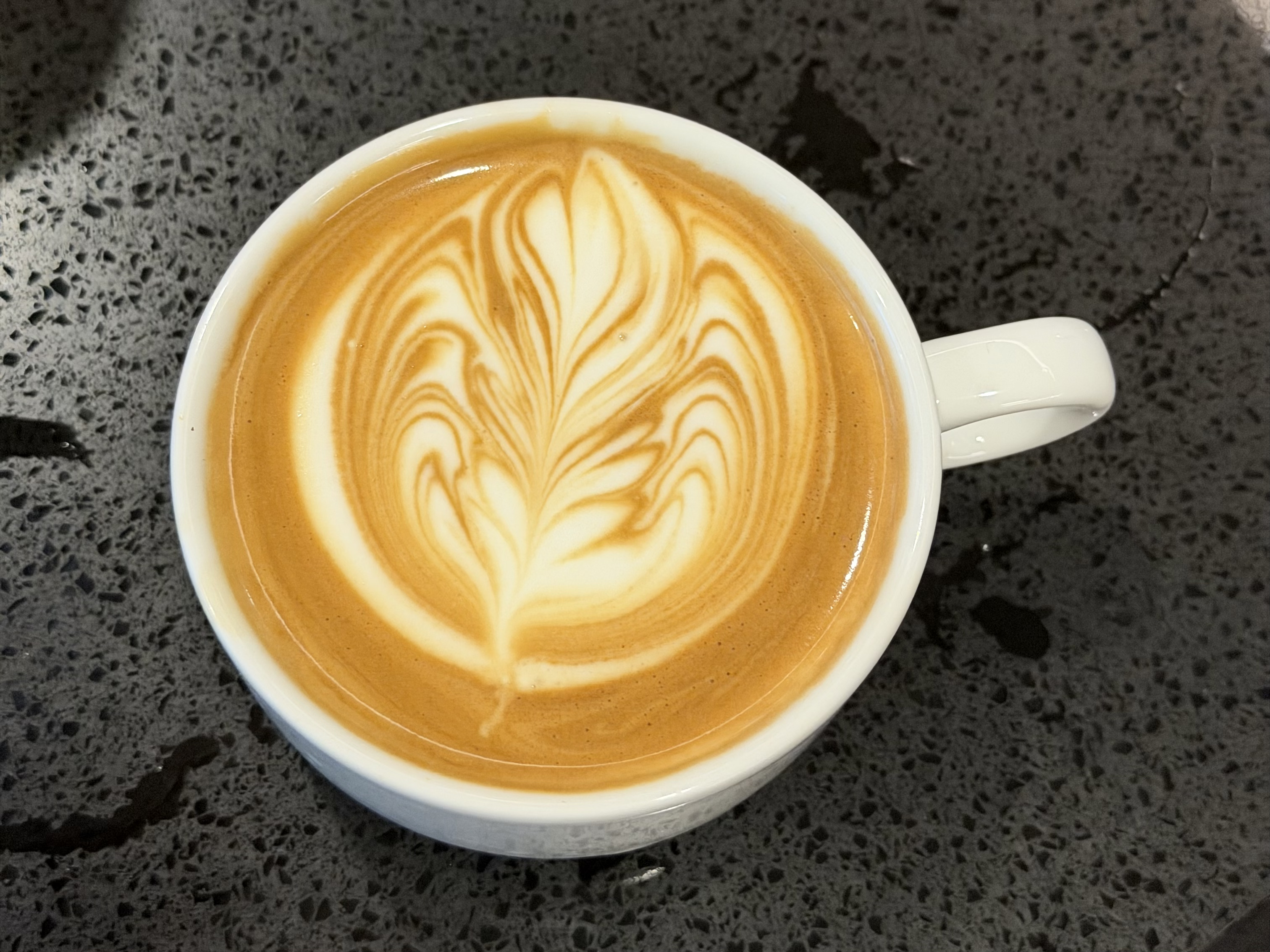 One of my recent latte art pours at the office