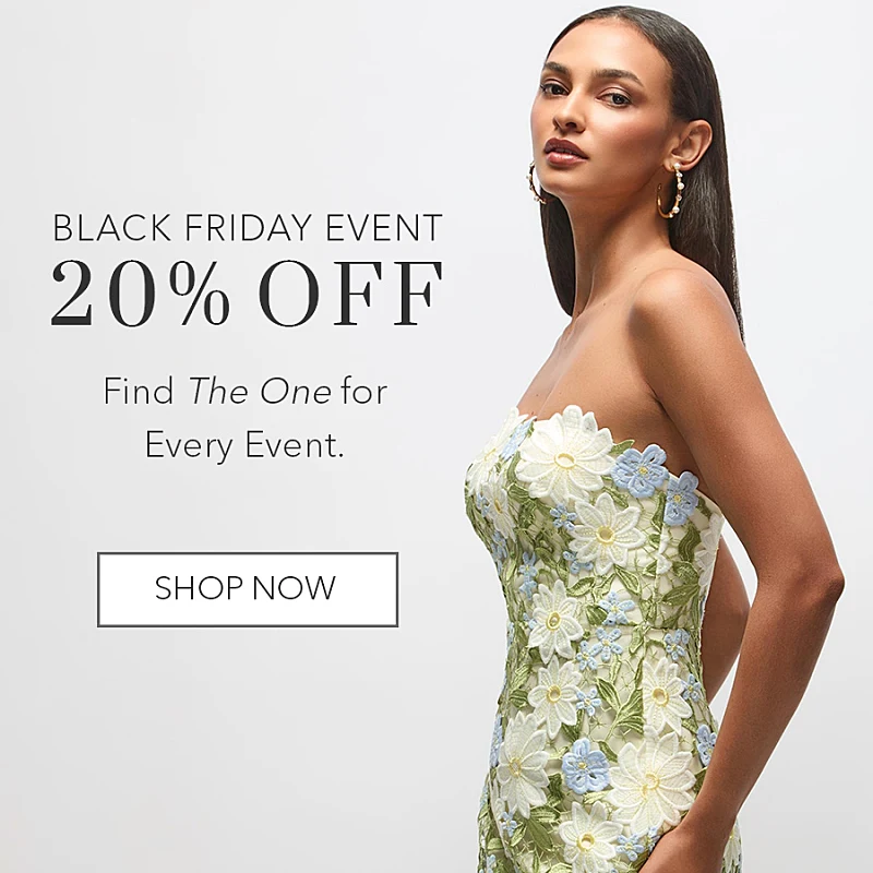 Black Friday Sale - 2025 - 20% off