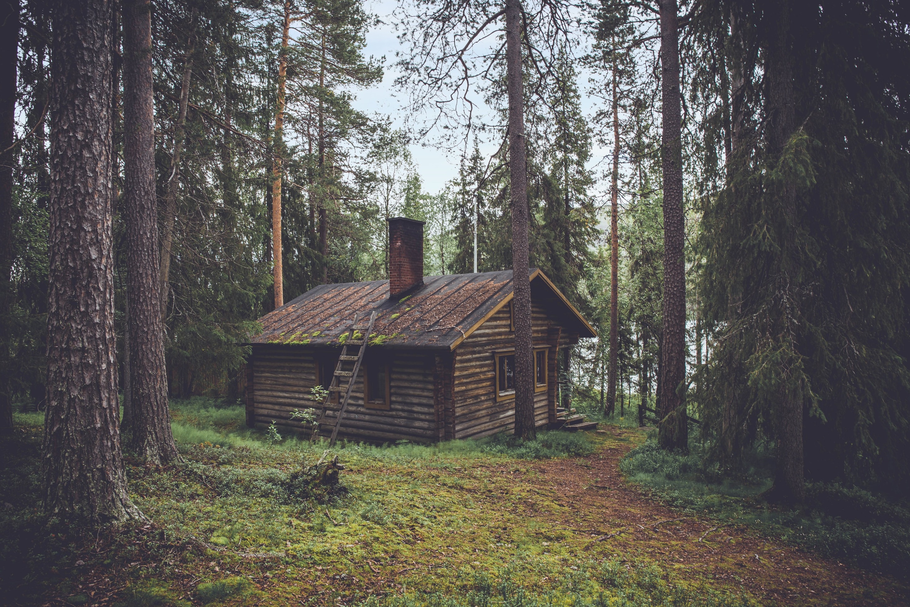 The Ultimate Guide to Booking Cabins