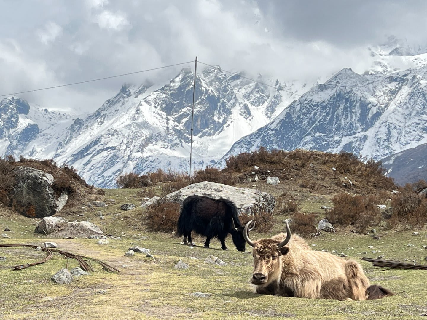 Langtang Valley Trek gallery 6