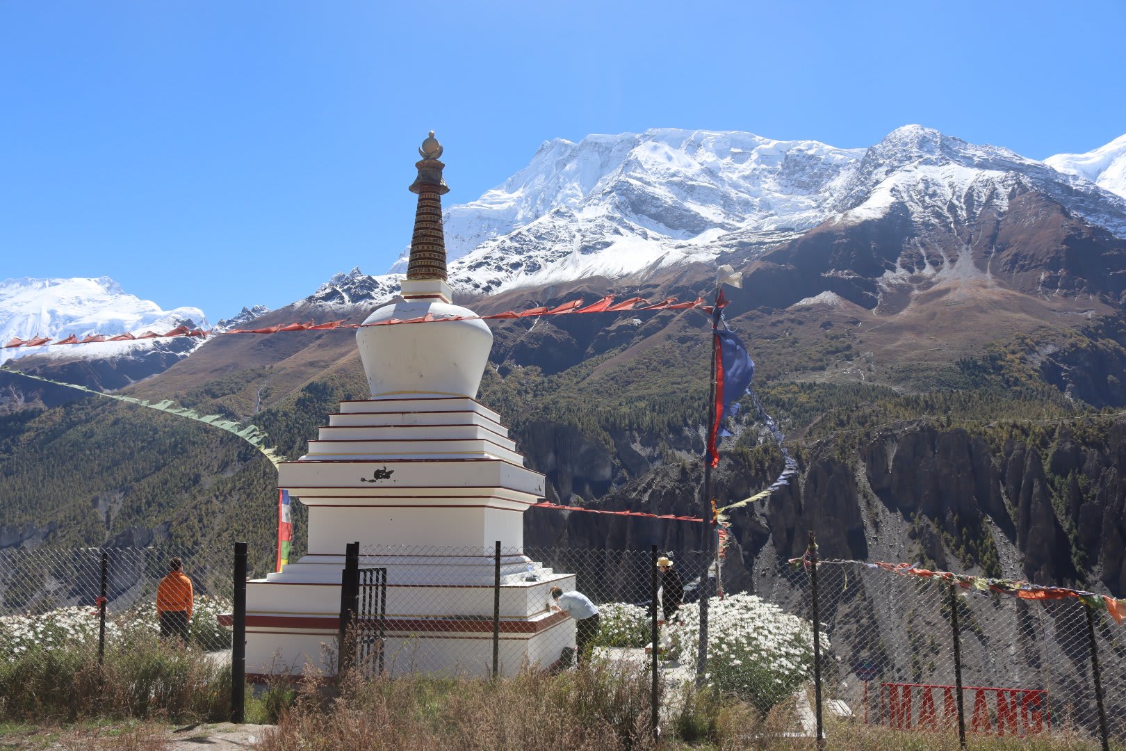 Annapurna Circuit Trek via Tilicho Lake gallery 8