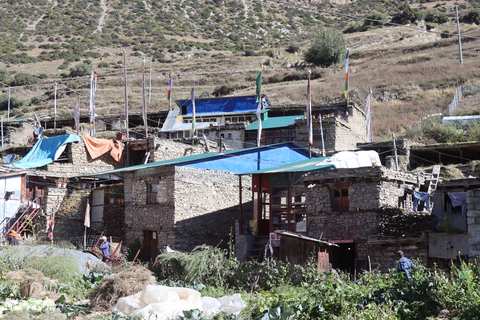 Annapurna Circuit Trek via Tilicho Lake gallery 5