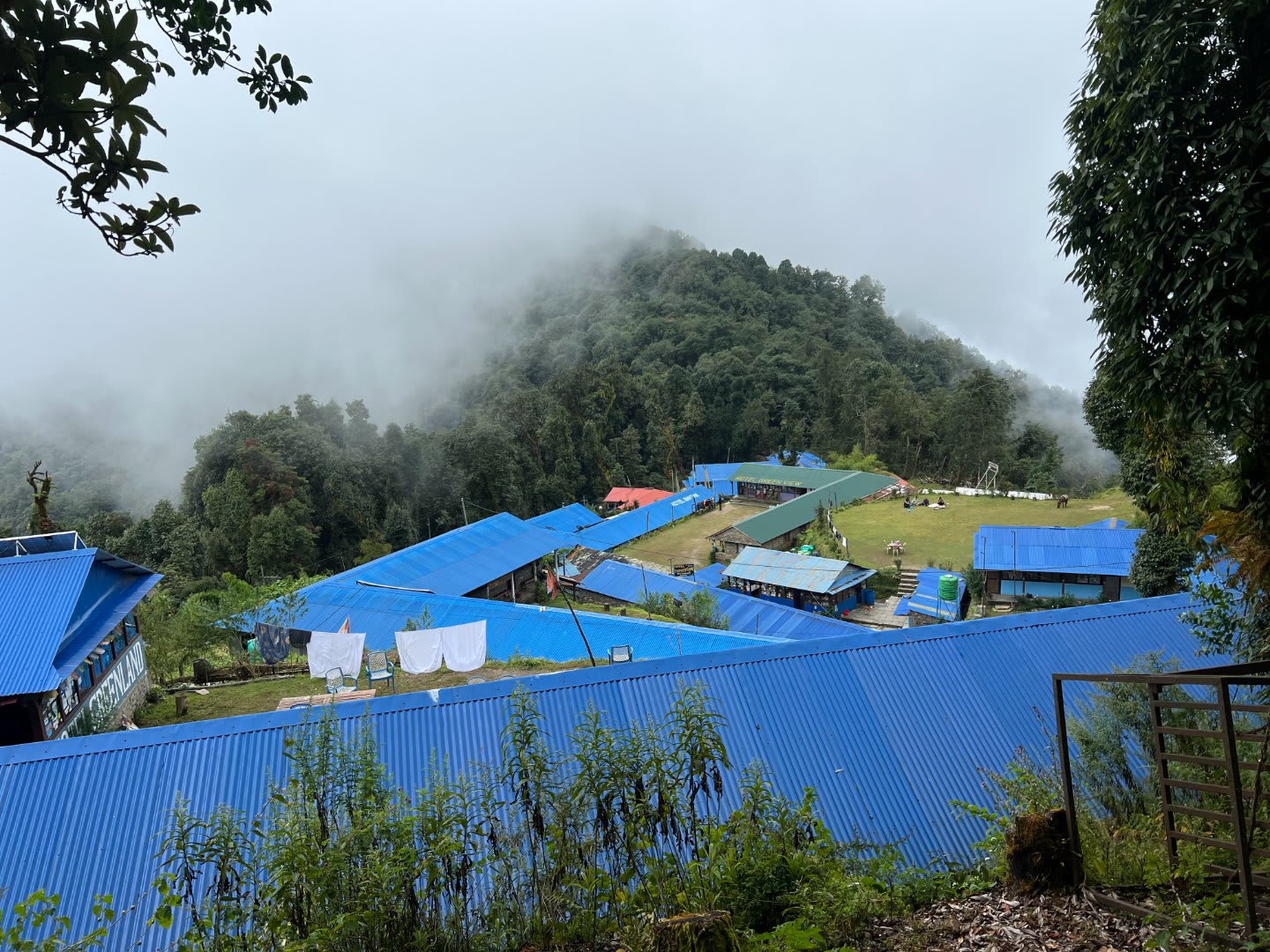 Mardi Himal Trek from Pokhara gallery 4