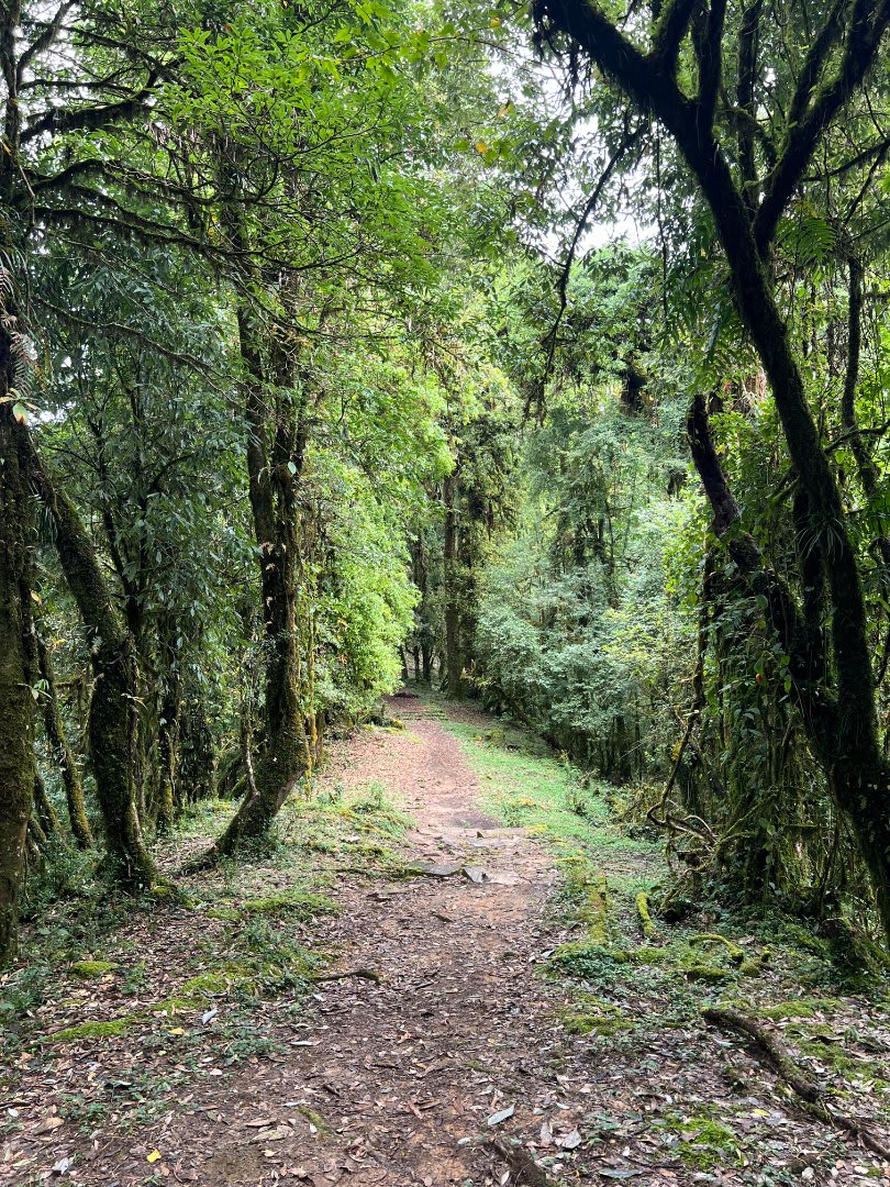 Mardi Himal Trek from Pokhara gallery 2