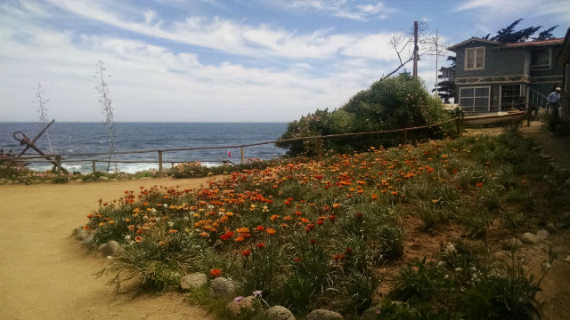 isla negra