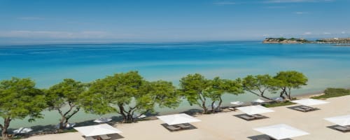 Photo of Sani Club