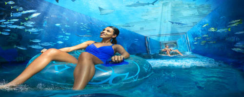 Photo of Atlantis The Palm, Dubai