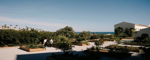 Photo of OKU Andalusia