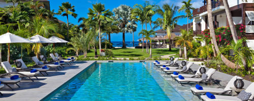 Photo of The Sandpiper