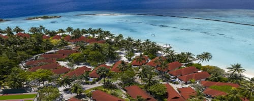 Photo of NIVA Kurumba