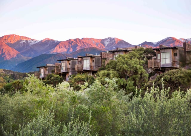 Photo of Hapuku Lodge & Tree Houses
