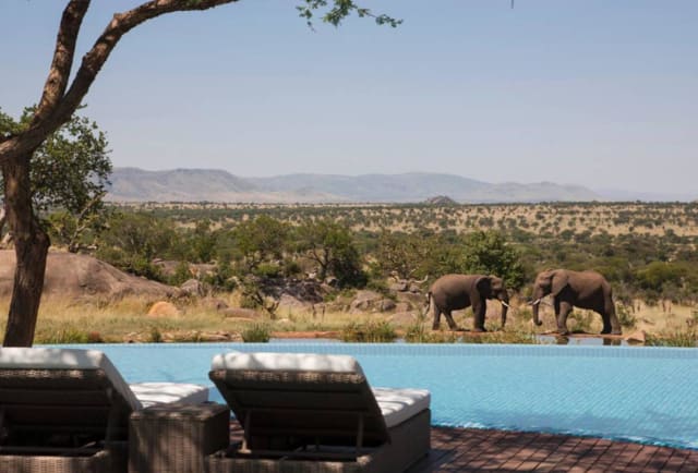 Photo of Four Seasons Safari Lodge, Serengeti